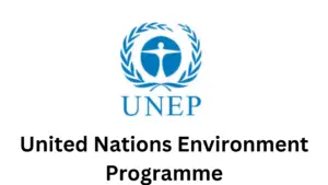 1 20241210 230137 0000 - United Nations Environment Programme, Chief of Staff Position 2025