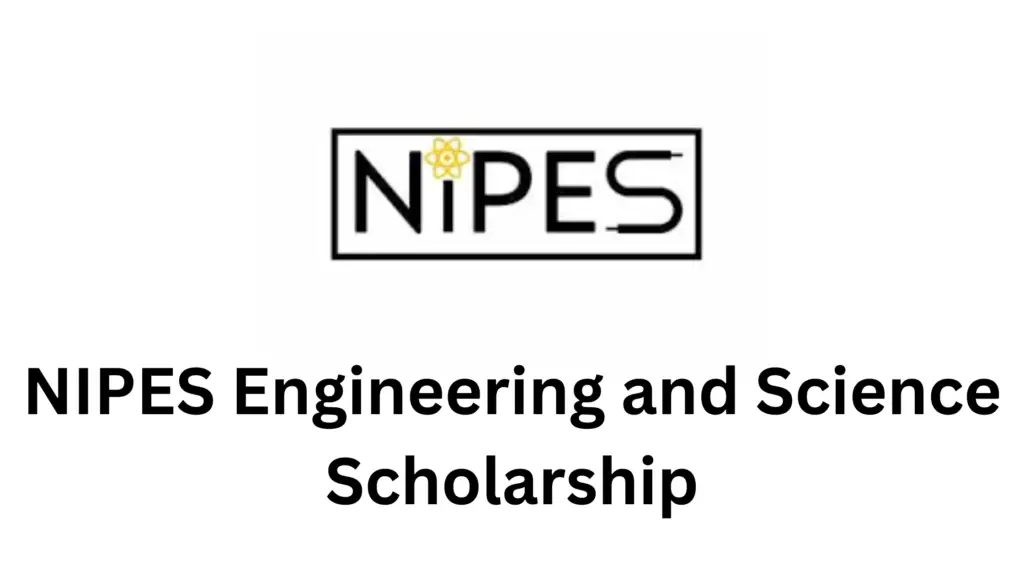 1 20241228 170439 0000 - Application Opening for NIPES Engineering and Science Scholarship 2025