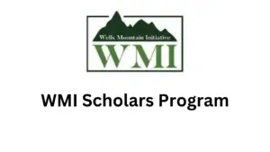 2 20241203 194320 0001 - Fully Funded WMI Scholars Program 2025 for Students Worldwide