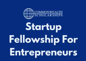 Commonwealth Startup Fellowship 2025