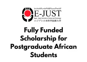 Egypt-Japan University of Science and Technology (E-JUST) Fully Funded TICAD8 African Postgraduate Scholarships