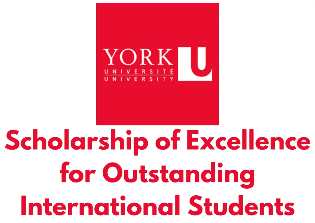 York University