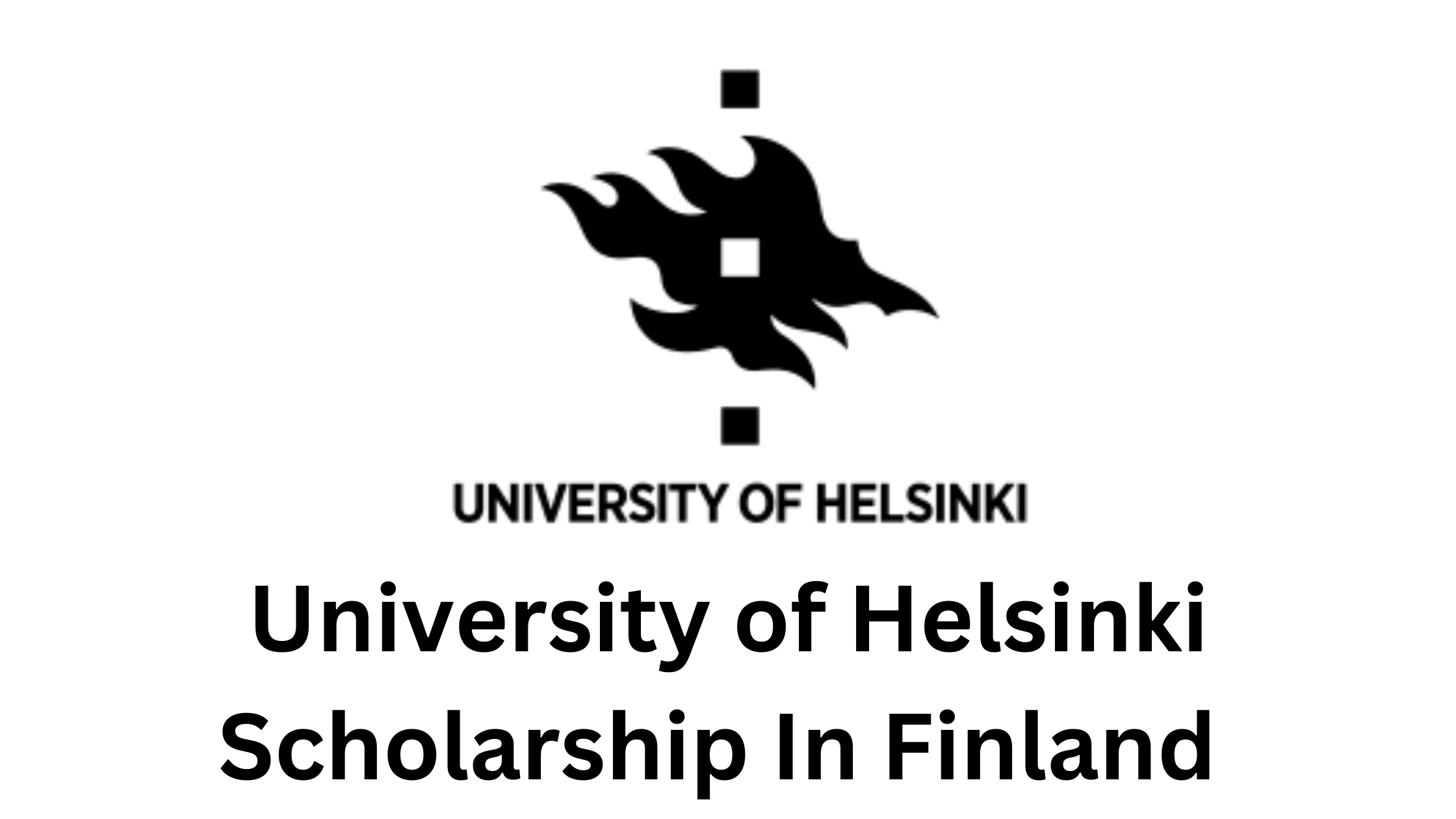 University of Helsinki Scholarship