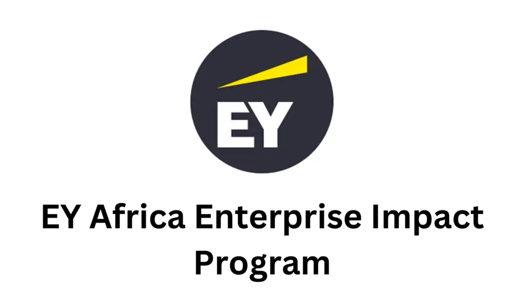 1 20250103 185056 0000 - EY Africa Enterprise Impact Program business accelerator 2025