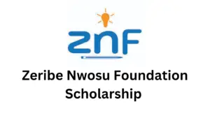 1 20250104 201341 0000 - Zeribe Nwosu Foundation 2025 Undergraduate to Postgraduate Scholarship Program