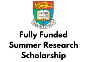 University of Hong Kong Summer Research Scholarship