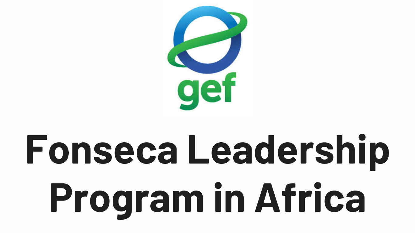 Fonseca Leadership Program In Africa 2025 For African Graduate Students ...