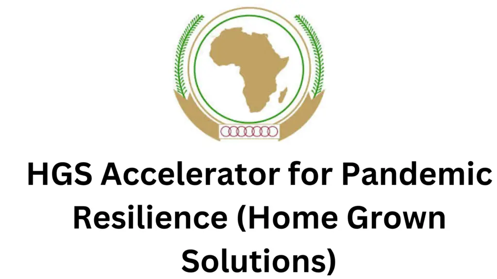 2 20250210 152702 0001 - 2025 HGS Accelerator for Pandemic Resilience (Home Grown Solutions) For African Healthcare Businesses