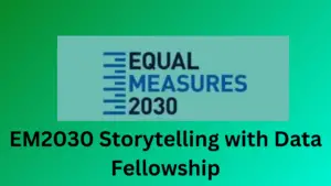 3 20250221 084857 0002 - Equal Measures 2030 Presents: 2025 EM2030 Storytelling with Data Fellowship