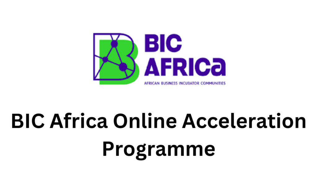 1 20250303 202940 0000 - BIC Africa Online Acceleration Programme 2025 for Women Entrepreneurs