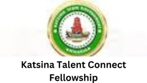 3 20250303 113019 0002 - Katsina Talent Connect Fellowship | N100,000 monthly stipend and mentorship