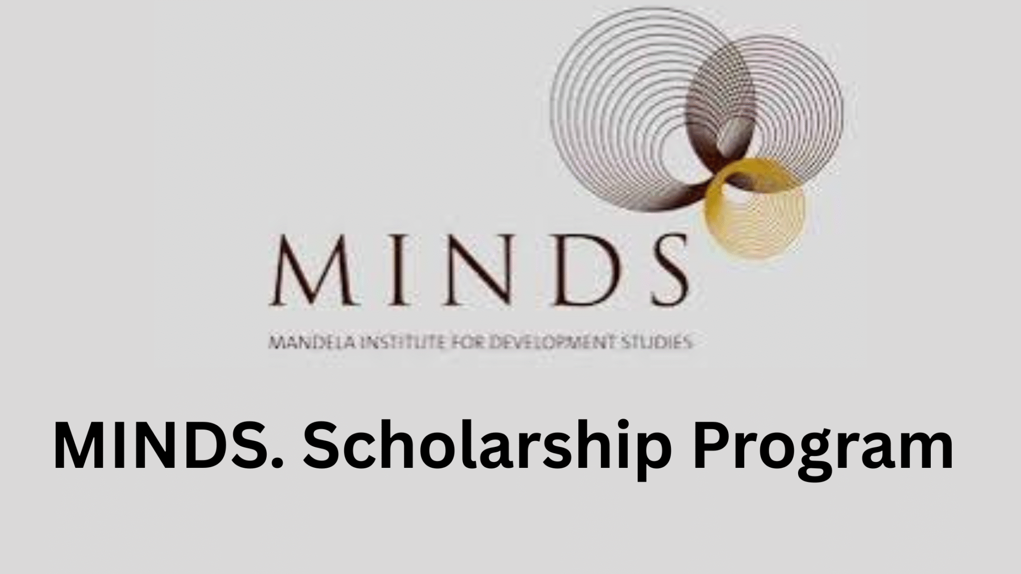 MINDS Scholarship Program 2025 For African Students