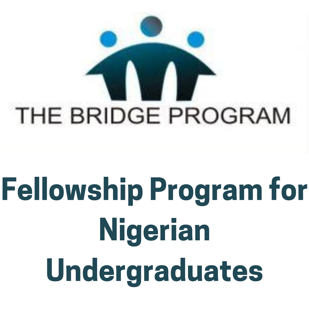 NOW OPEN: The Bridge Fellowship Program 2025 For Nigerian Undergraduates