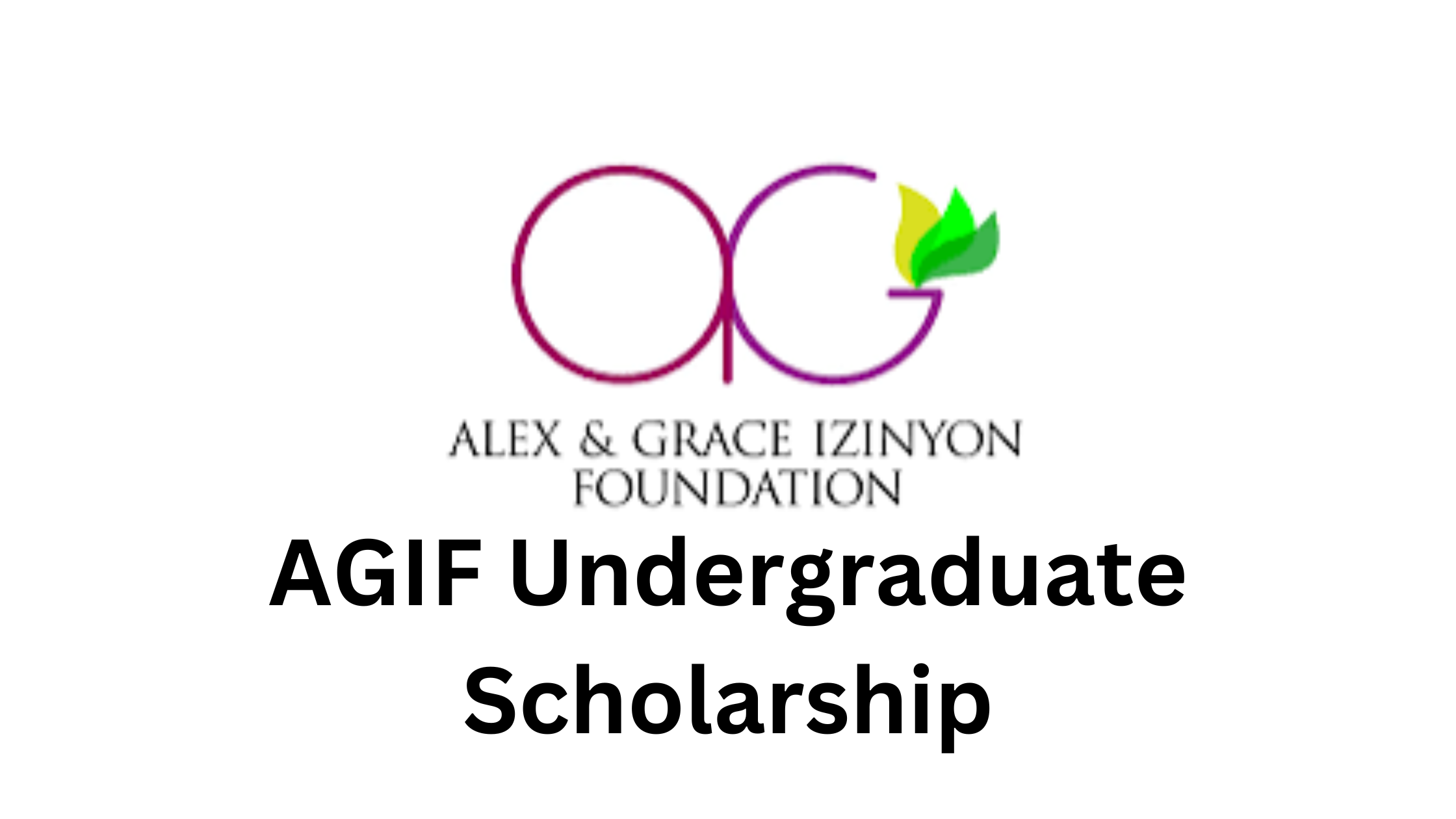1 20250520 193642 0000 - AGIF Undergraduate Scholarship 2025 For Nigerians