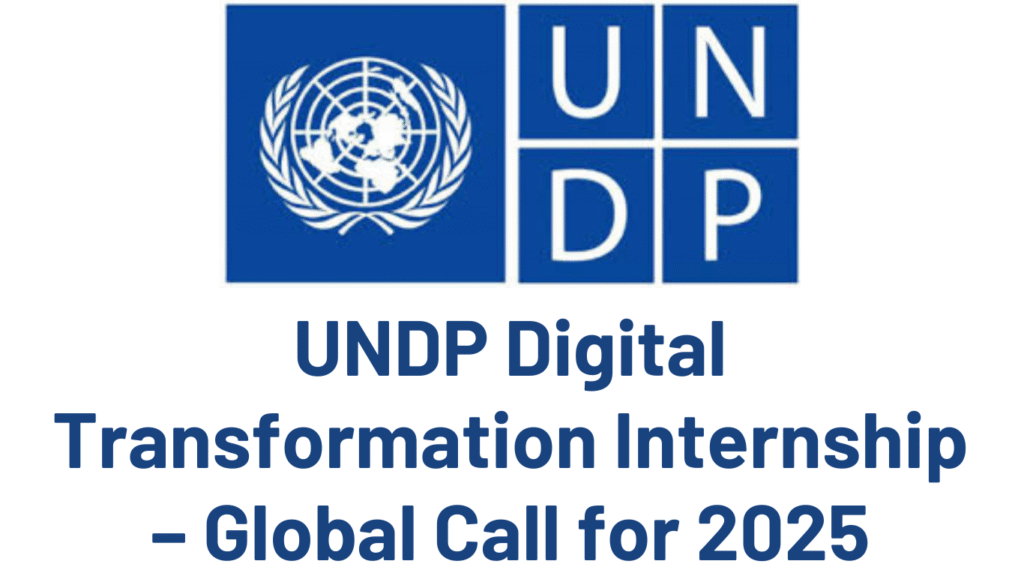 UNDP Digital Transformation Internship