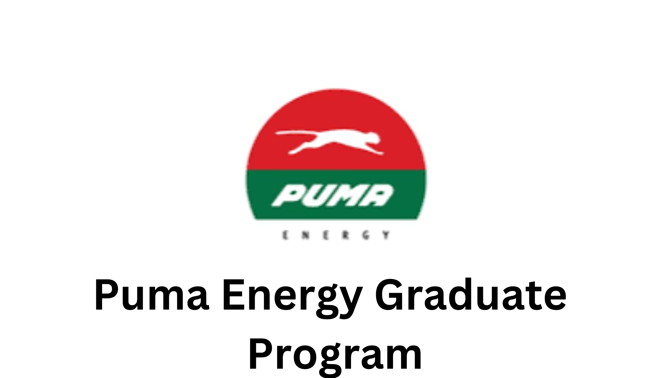2 20250611 204952 0001 - Exciting Opportunity Puma Energy Graduate Program 2025 For Africans
