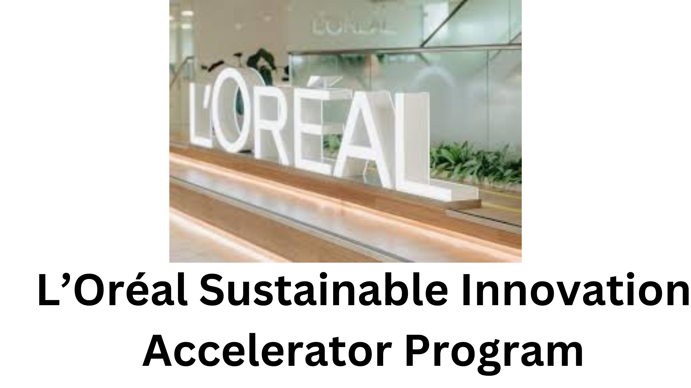 1 20250805 125254 0000 - 2025 L’Oréal Sustainable Innovation Accelerator Program