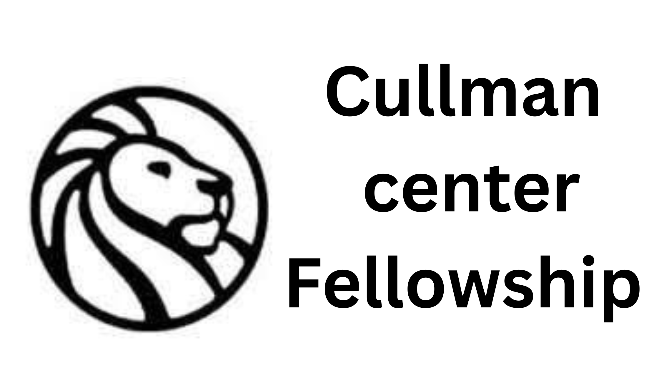 3 20250813 153515 0002 - Dorothy and Lewis B. Cullman Center Fellowship for Scholars and Writers 2026 at the Stephen A. Schwarzman Building, New York, USA
