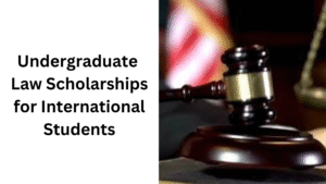 5 20250828 165241 0004 - Undergraduate Law Scholarships for International Students 2025