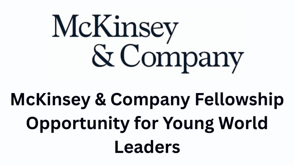 McKinsey & Company Fellowship 2026