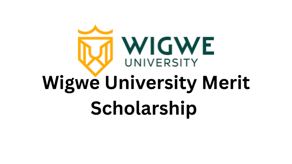 Wigwe University Merit Scholarship 20250810 150121 0000 - Call for Applications: Wigwe University Merit scholarship  2025 for Nigerians