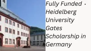 1 20241030 224433 0000 768x432 1 - Heidelberg University Scholarships in Germany 2026 | Fully Funded