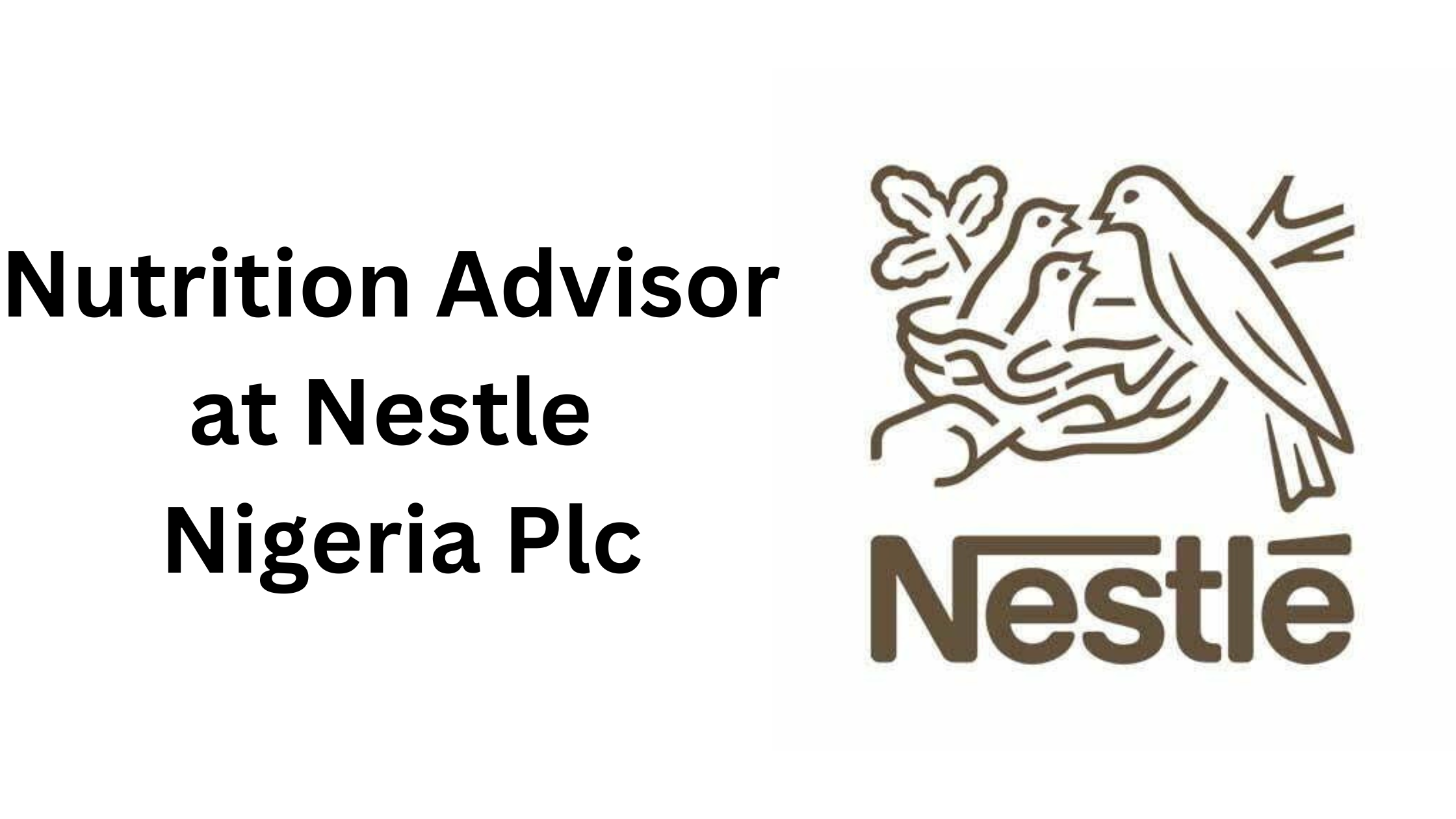 2 20250916 211503 0001 - Nutrition Advisor at Nestle Nigeria Plc | 9 Openings