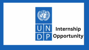 1 20241126 191746 0000 768x432 1 - Fully Funded UNDP Global Internship Program 2026 | $1000 Monthly Stipend