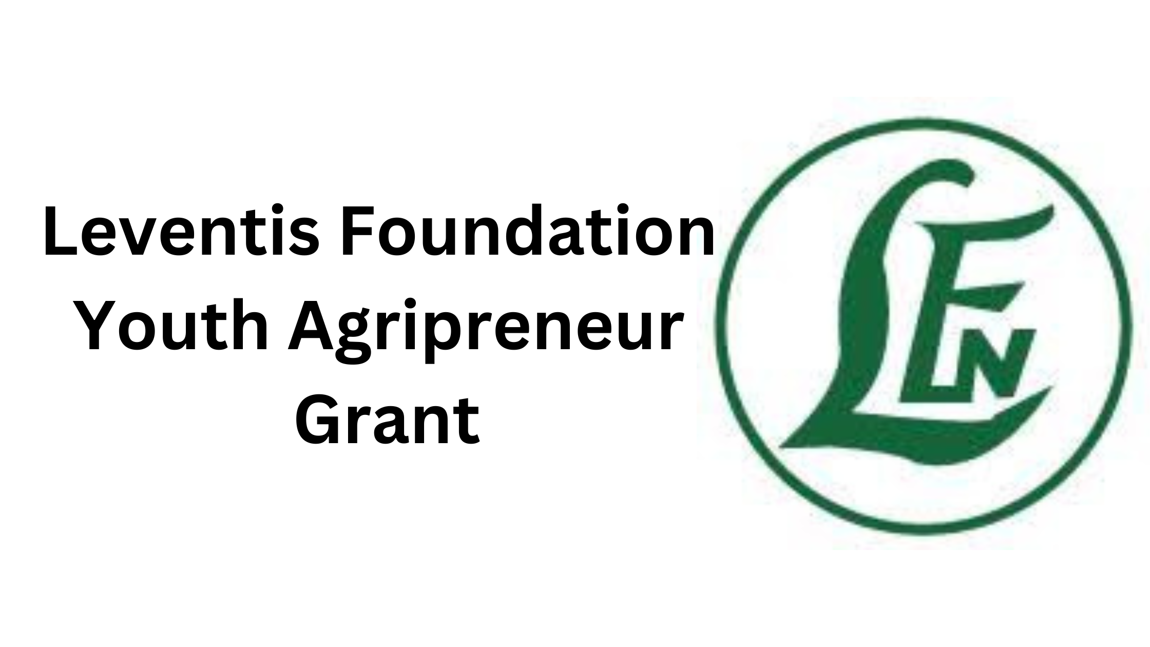 1 20251007 210847 0000 - Leventis Foundation Youth Agripreneur Grant 2025 | Up to ₦2 Million Funding Available