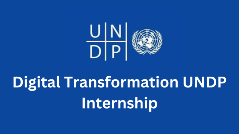 png 20240712 212736 0000 768x432 1 - UNDP Nigeria Digital for Youth-Led Enterprise Programme 2025 for Young Nigerian Innovators