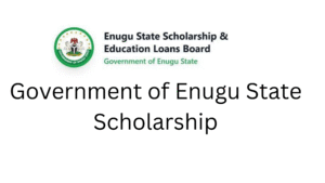3 20251118 164300 0002 - Government of Enugu State Scholarship 2025 | Undergraduate and Postgraduate