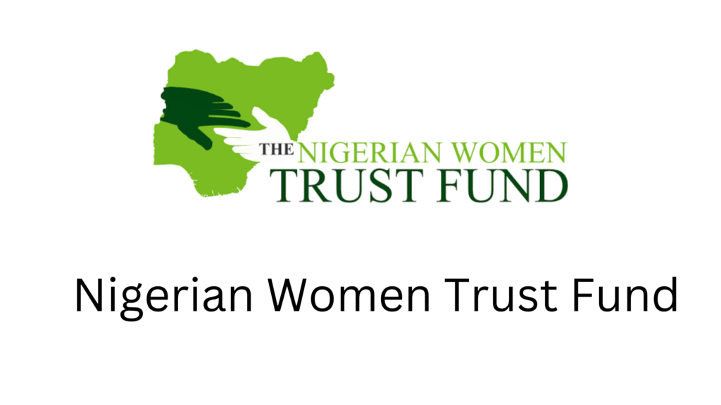 3 20251128 204446 0002 - Nigerian Women Trust Fund (NWTF) Grant 2025