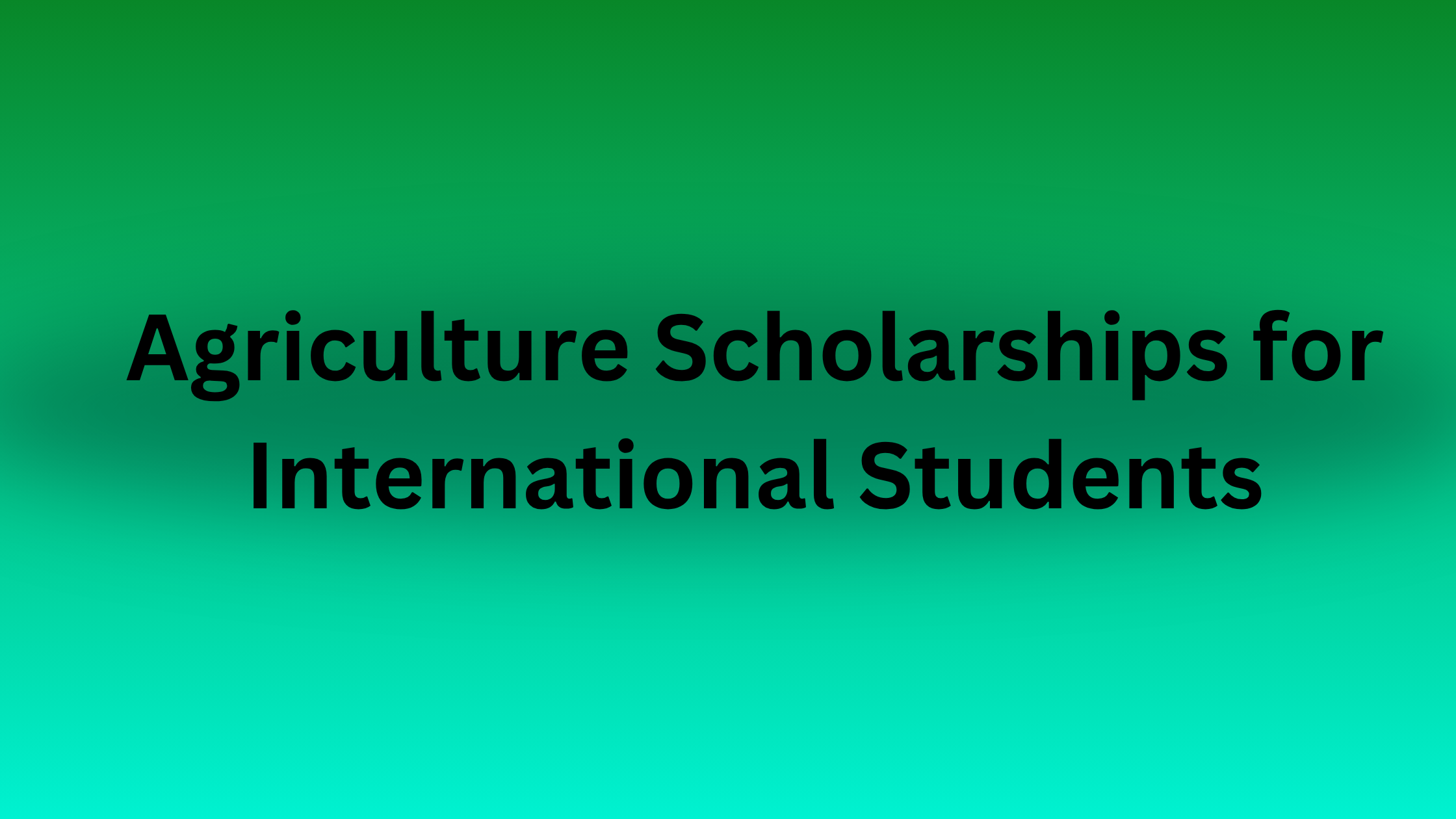 5 20251106 164008 0004 - Agriculture Scholarships for International Students 2025