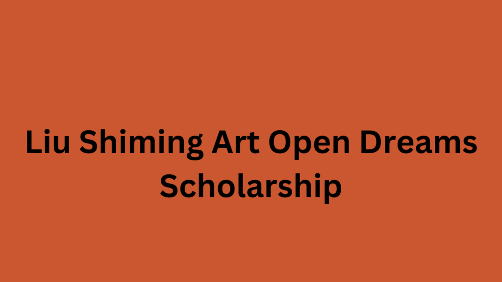6 20251106 164008 0005 - Liu Shiming Art Open Dreams Scholarship 2025