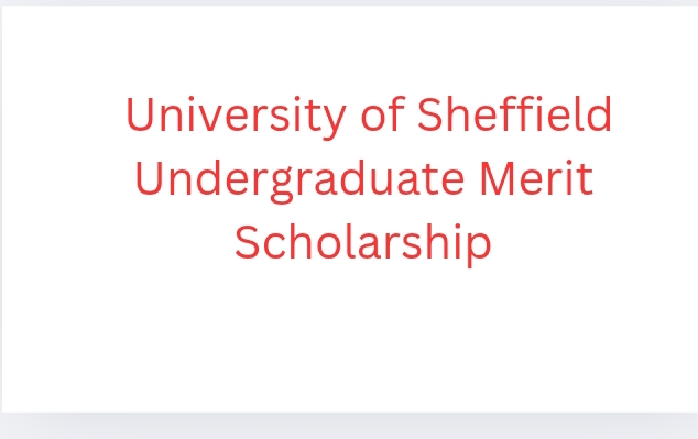 Screenshot 20251031 193805 - University of Sheffield Undergraduate Merit Scholarship 2026 | Study in the UK