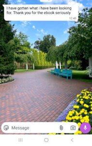 1000375165 - Getting Paid in Dollars Just by Chatting With Lonely People